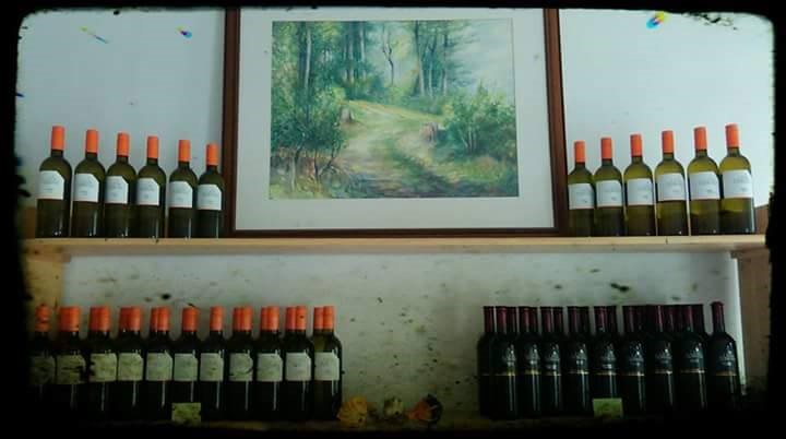 12241388_1501558633472899_5446987573711814014_n